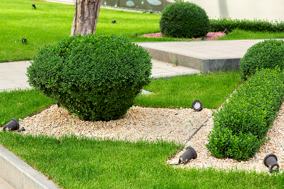 jardin entretient